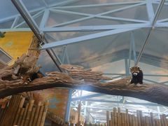 -辛玛王国游乐园