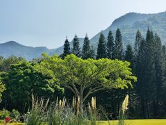-深圳仙湖植物园