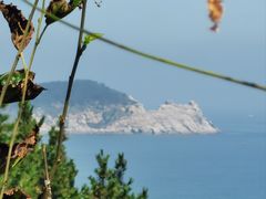 -猫头山