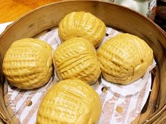 -石锅先生