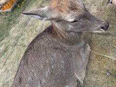 -杭州千岛湖开元度假村