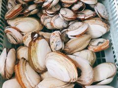 -公寓家常菜馆(海军博物馆店)