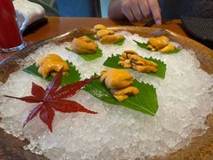 -月龍吟(朝龙汇店)