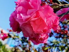 -人民公园(罗湖区)