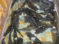 -缘福乡村铁锅炖民宿(八达岭店)