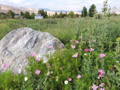 -千姿湖生态旅游景区