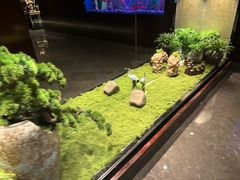 -九洲喜来登酒店湖月日餐厅