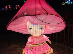 -亚龙湾国际玫瑰谷