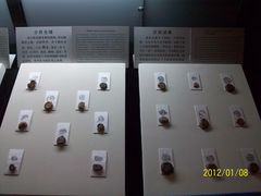 古陶文明博物馆&nbsp;(9)-古陶文明博物馆