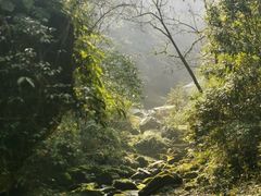 -碧峰峡风景区