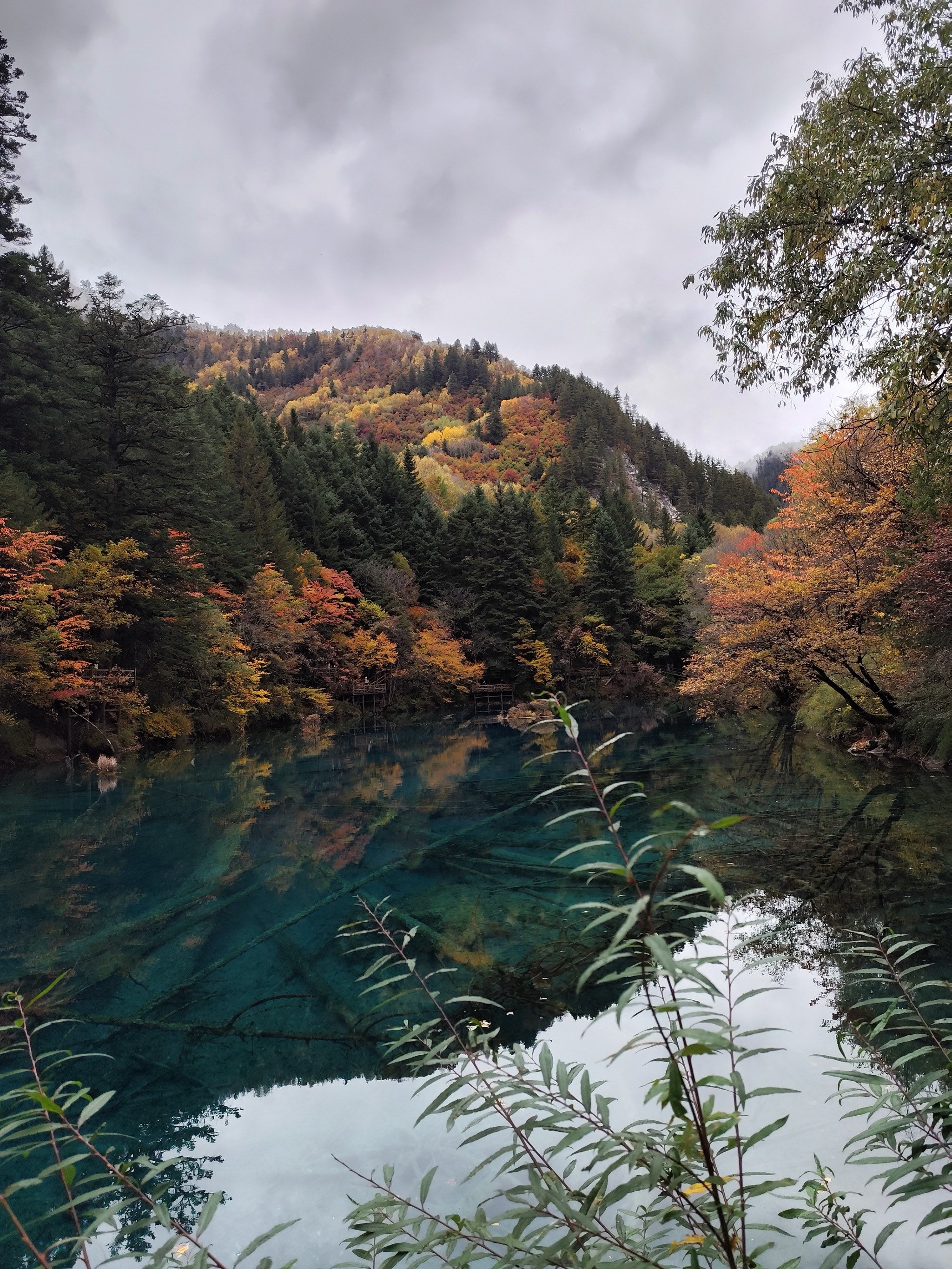 九寨沟四季风景图片图片