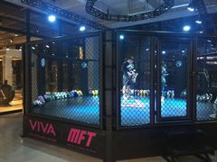 -GYMCARE VIVA(金开店)
