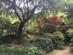 -常寂光寺