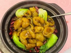 -金华安大酒楼·老牌潮菜·粤式茶点(东方国际店)