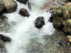-临江后街鳝丝(临江店)