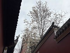 -长春观
