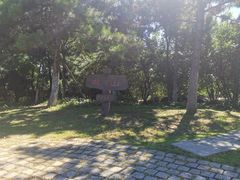 -莫子山公园