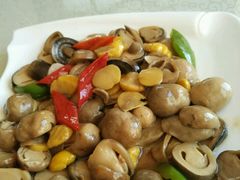 -慈海素食馆