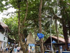 -海南分界洲岛旅游区