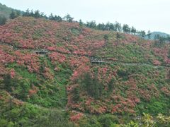 -木兰云雾山