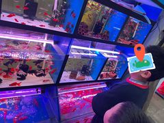 -三旗百汇商品城