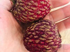 -Blueglass酸奶(财富购物中心店)