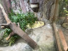 -上海大自然野生昆虫馆