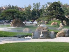 -罗红摄影艺术馆