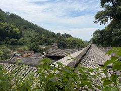 -杨家堂村