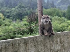 -西岭雪山大飞水景区