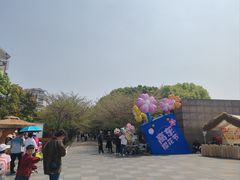 -高东镇樱花园
