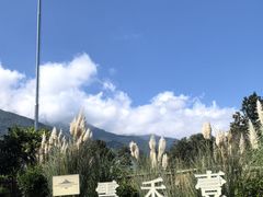-云禾壹海景庄园餐厅