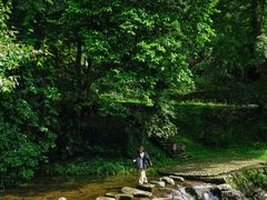 -广州市石门国家森林公园