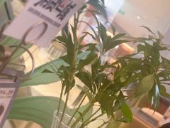 -THE WOODS 简餐 (国贸商城店)