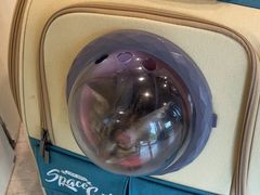 -哆趣宠物医院·眼科·内镜·急重症转诊中心(上海店)