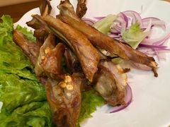 -巴依老爷新疆美食(马驹桥店)