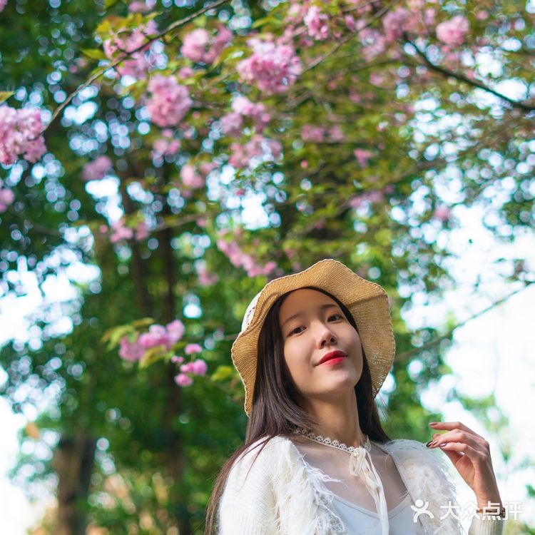 武汉植物园里的绿野仙踪