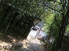 -老张烤羊(王哥庄店)