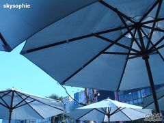 很蓝很写意-榖屋house of flour(张江首店)