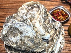 -蚝堡海鲜·威海菜·海肠捞饭·烧烤·亚洲吃蚝公司(幸福门店)