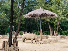 -北京野生动物园