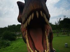 -上海海湾国家森林公园