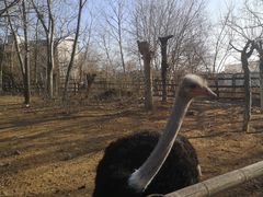 -大连森林动物园