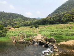-广州市石门国家森林公园