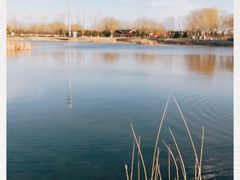 -永定河休闲森林公园