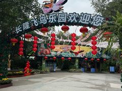 -广州长隆飞鸟乐园