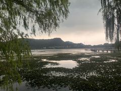 -鸣鹤古镇