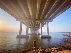 -宝安西湾红树林湿地公园