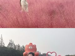 -嘉北郊野公园
