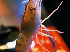 -钳真多钓虾馆·小龙虾海鲜烧烤(九六广场店)